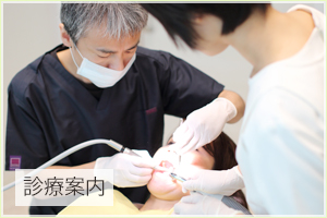 診療案内